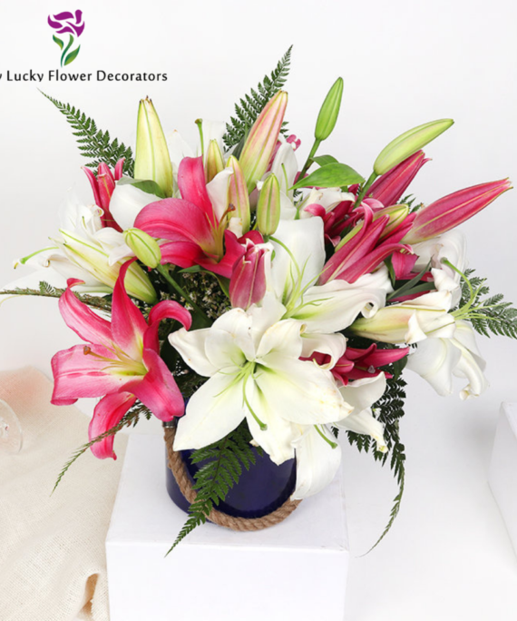 Best Lily flower